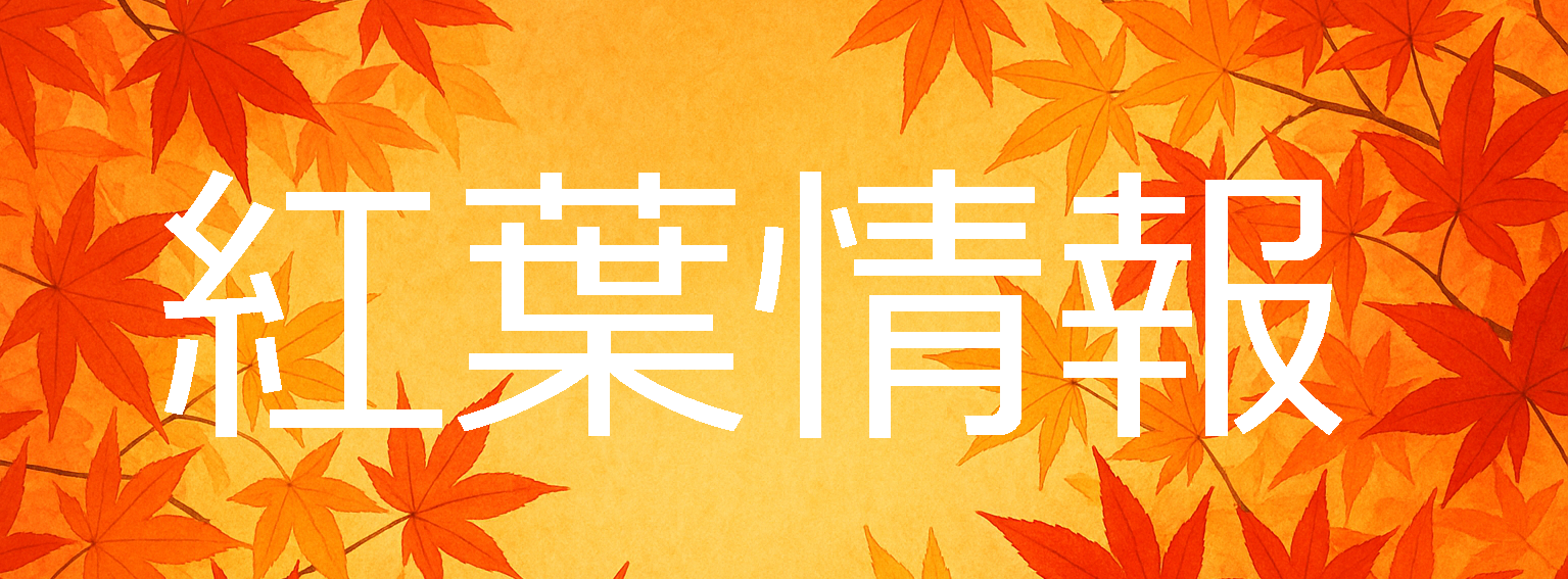 紅葉情報