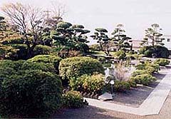 田中邸の庭園写真3