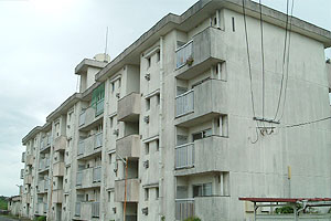 玉利団地