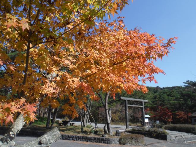 高千穂河原（紅葉）